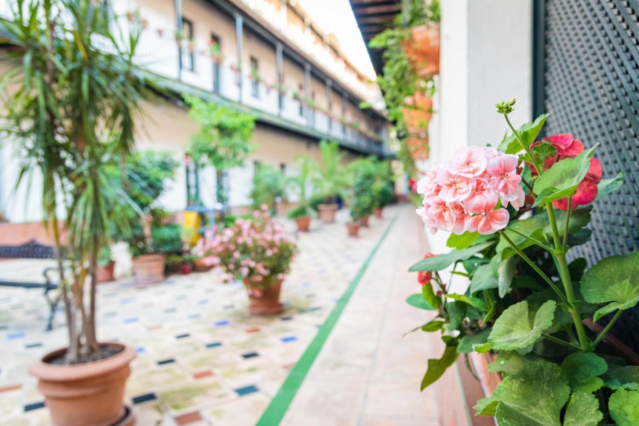 Hoteles Del Sur เซบีญา ภายนอก รูปภาพ